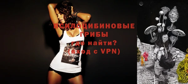 альфа пвп Нея