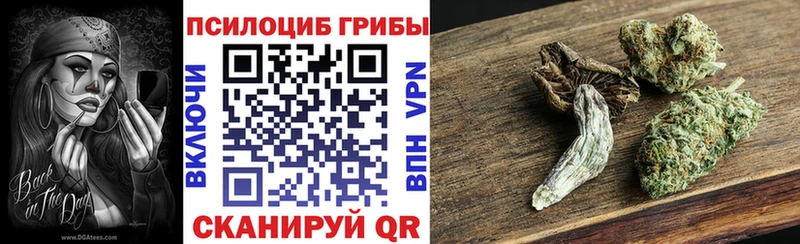 Псилоцибиновые грибы Psilocybine cubensis Староминская